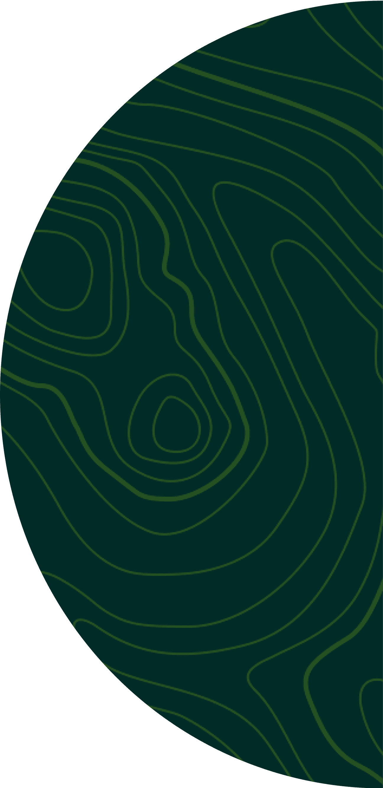 elipse 2